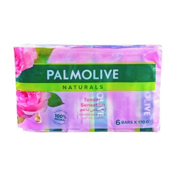 PALMOLIVE SOAP NOURSHNG 170GM