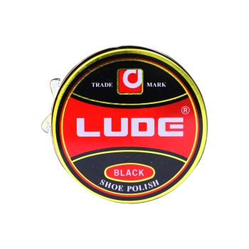 Liquid Radiance with Lude Brown Shoe Polish for a Timeless Shine